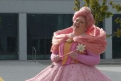 Fairy-Cupcake- Costume