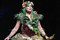 Fairy-Fern- Costume